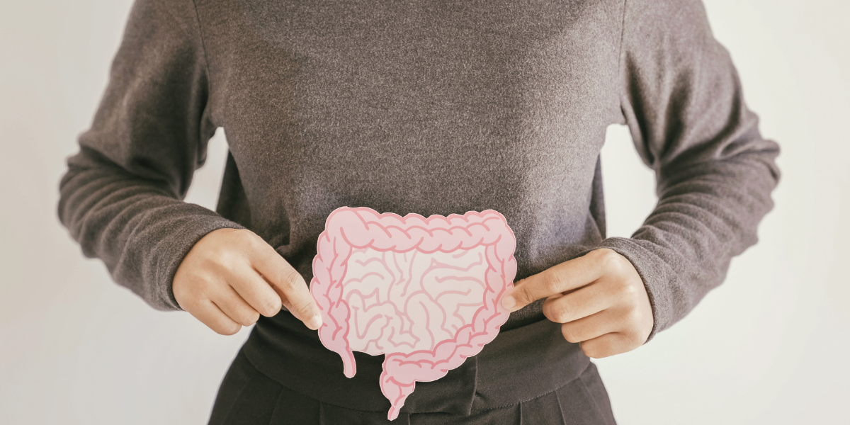 Blogové články - do textu_13